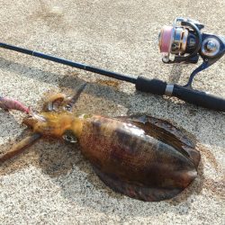 越前エギング 波が…風が…